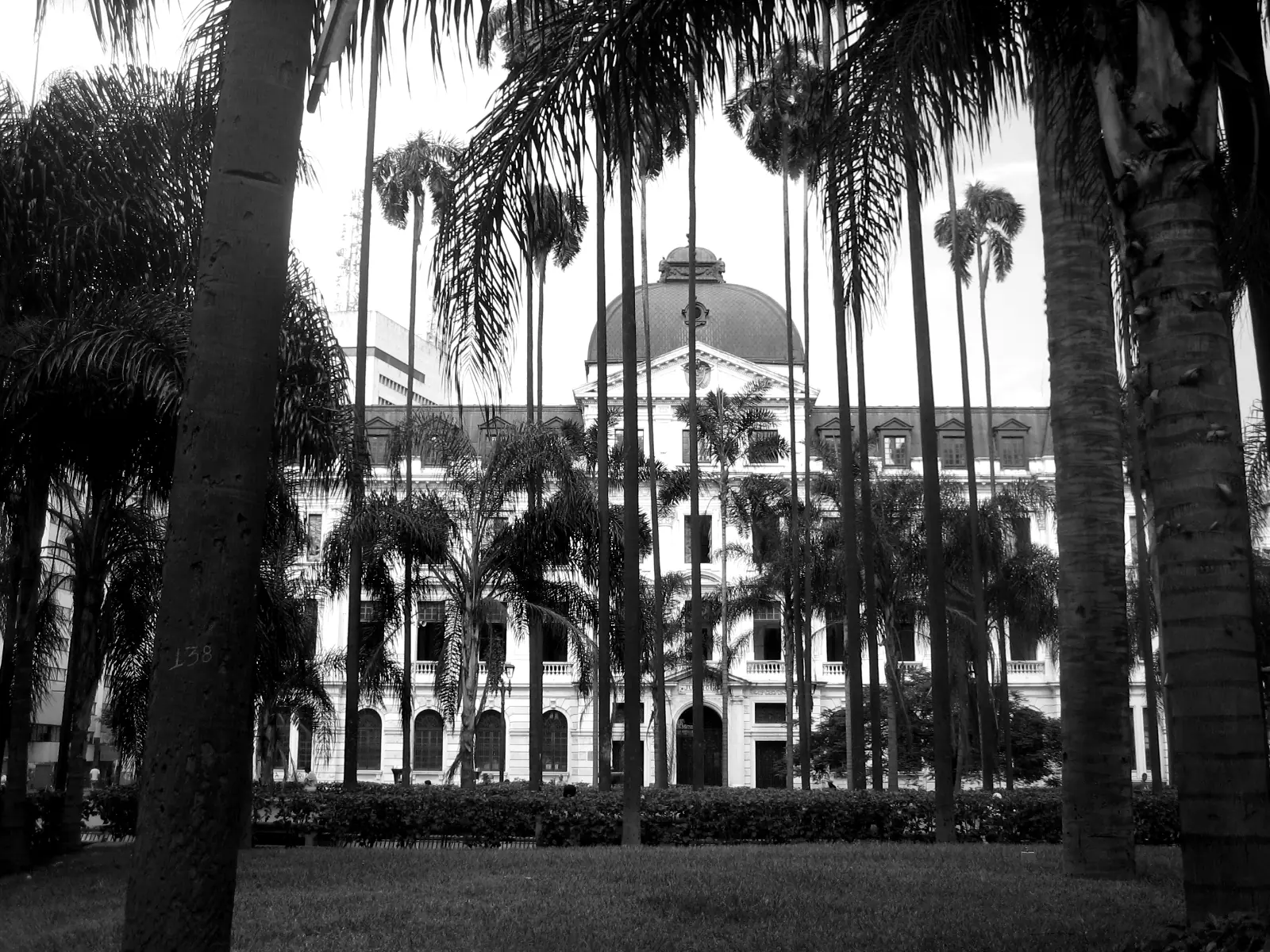Palmas frente a un edificio blanco de cúpula en la Plaza de Caycedo, en el centro de Cali